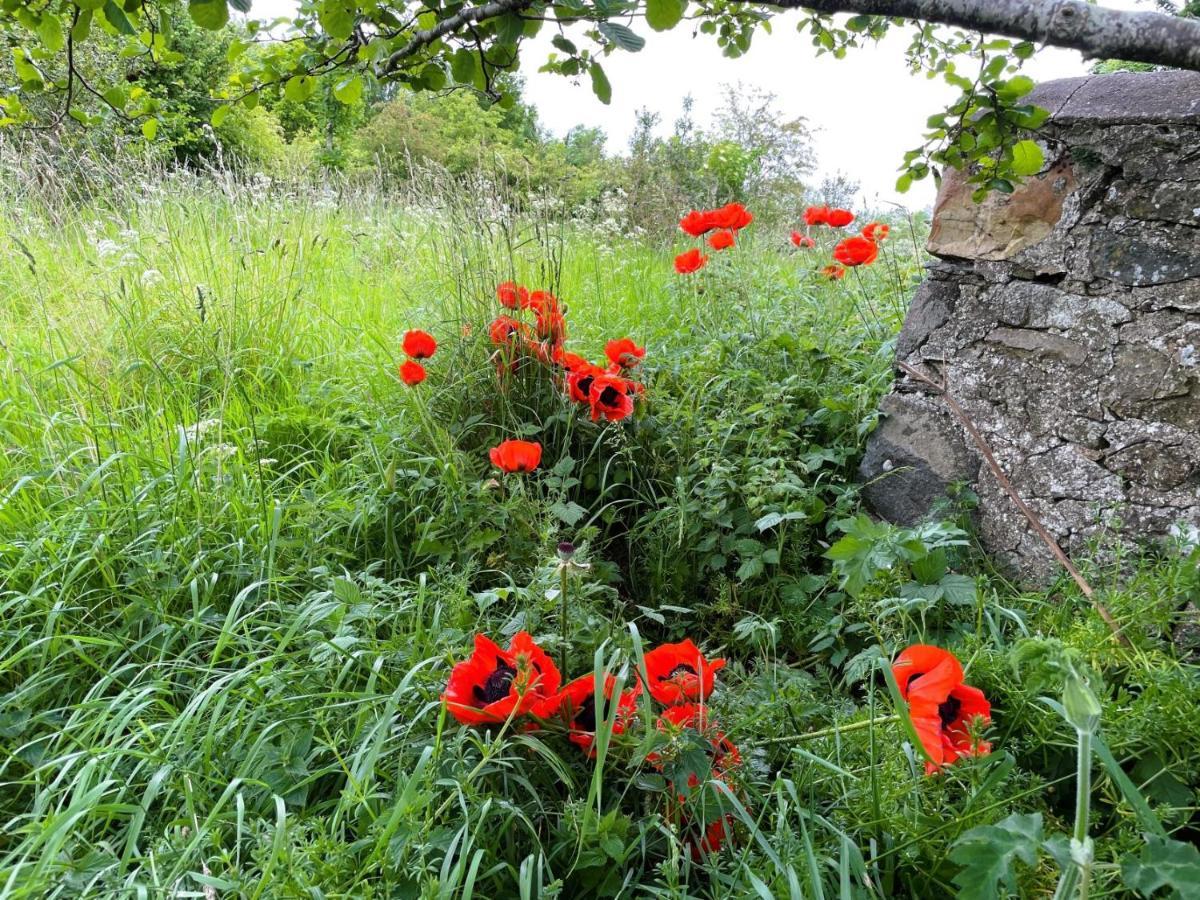 Deveron Valley Cottages Marnoch 외부 사진