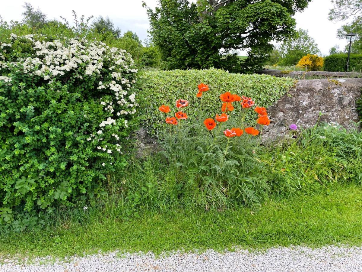 Deveron Valley Cottages Marnoch 외부 사진
